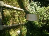 image of grave number 569855